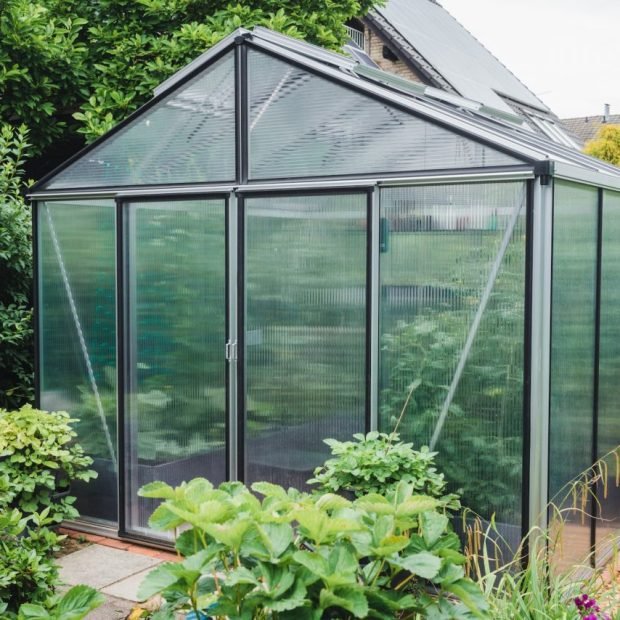 greenhouse-in-the-garden.jpg